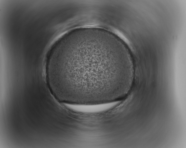 X0000094231456200711091305