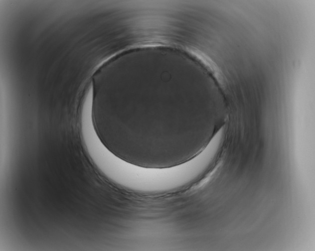 X0000094231457200711091305