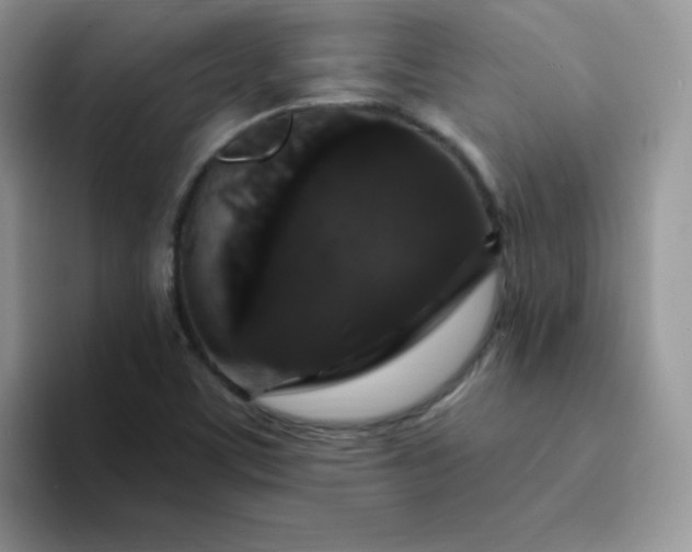 X0000094231459200711091305