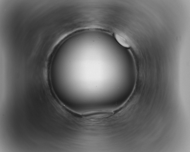 X0000094231460200711091305