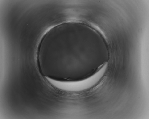 X0000094231463200711091305