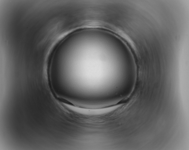 X0000094231464200711091305