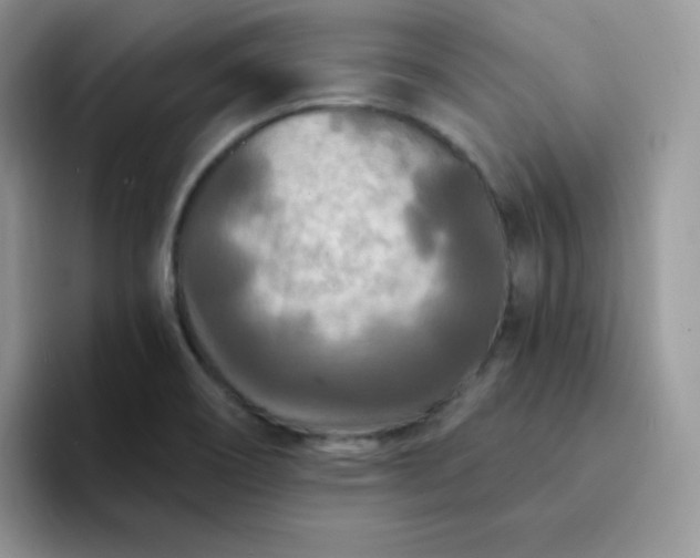 X0000094231466200711091305