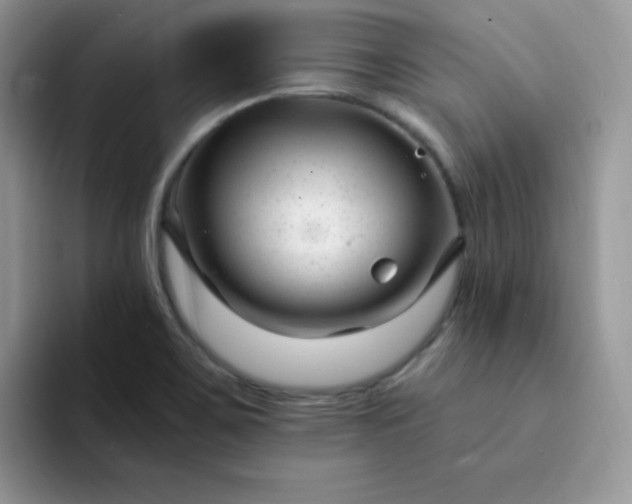 X0000094231467200711091305