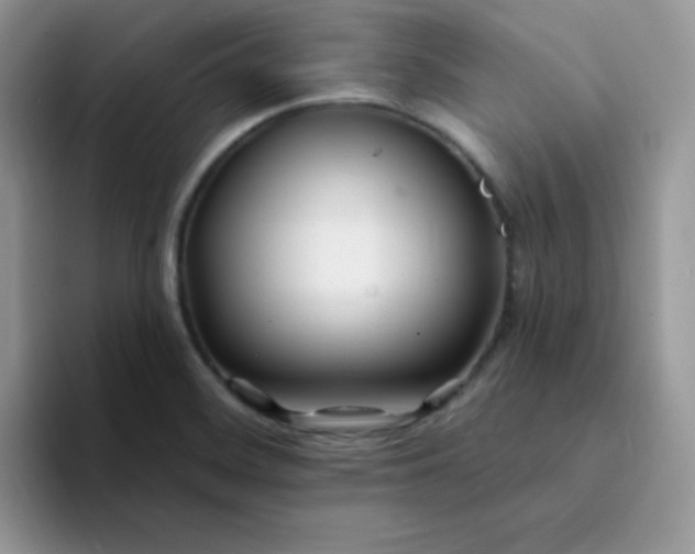 X0000094231468200711091305