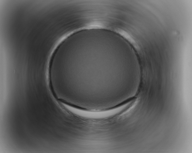 X0000094231469200711091305