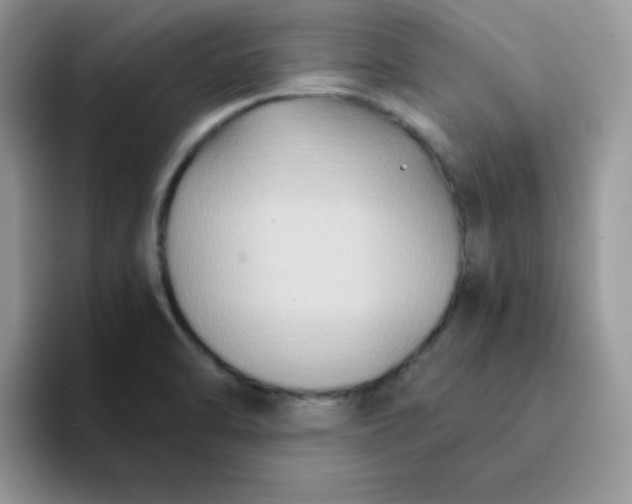 X0000094231470200711091305