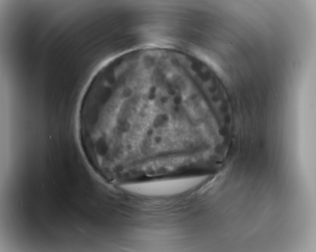 X0000094231471200711091305