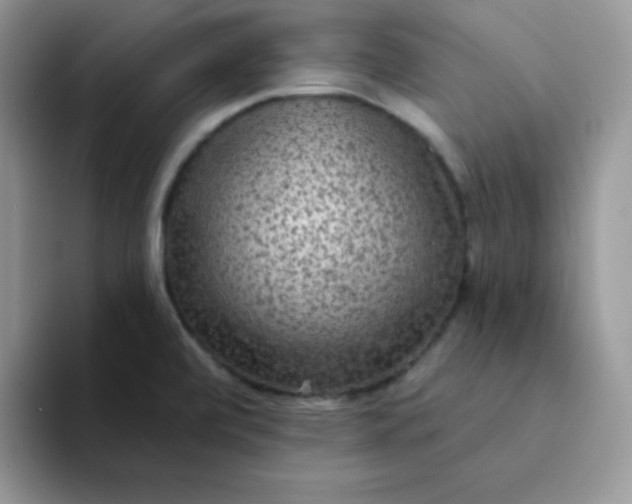 X0000094231472200711091305