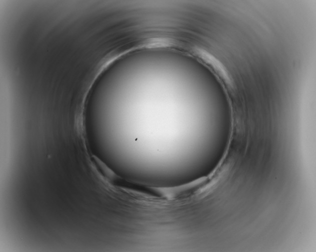 X0000094231473200711091305