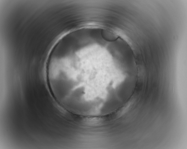 X0000094231474200711091305