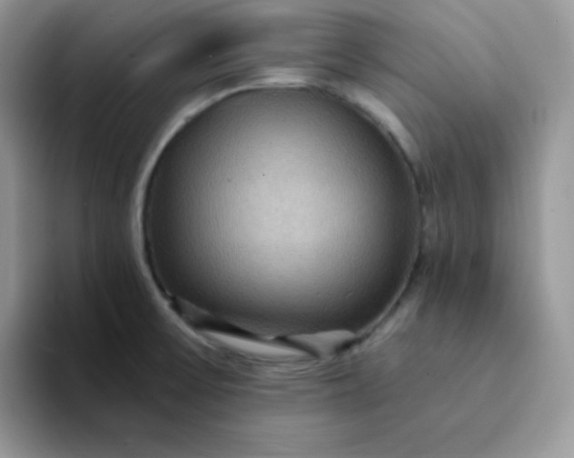 X0000094231475200711091305