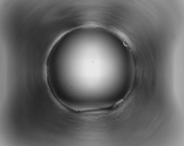 X0000094231476200711091305