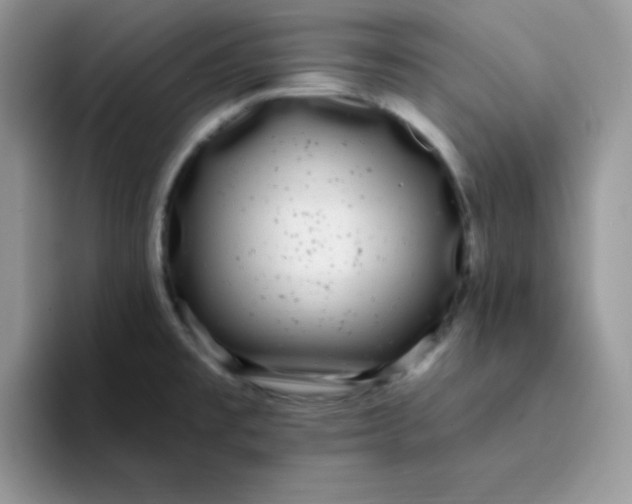 X0000094231477200711091305