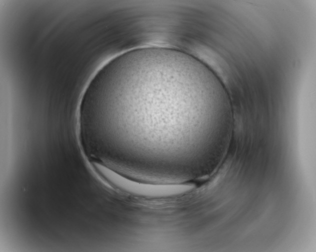 X0000094231479200711091305