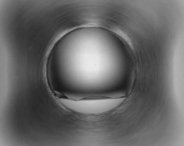 X0000094231480200711091305