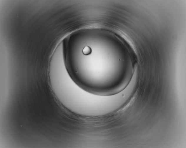 X0000094231481200711091305