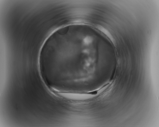 X0000094231482200711091305