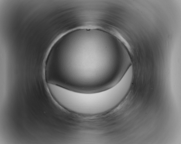 X0000094231484200711091305