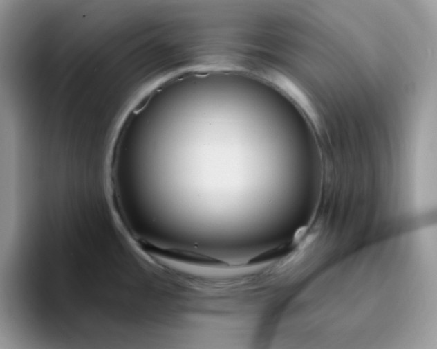 X0000094231485200711091305