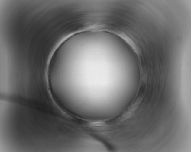 X0000094231486200711091305