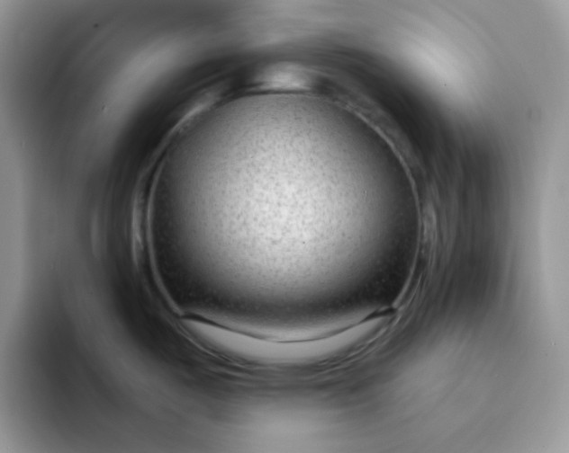 X0000094231487200711091305