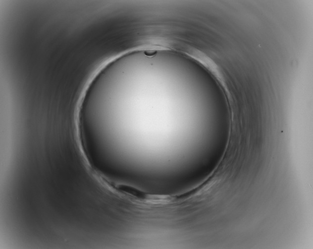 X0000094231488200711091305