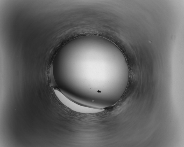 X0000094231490200711091304