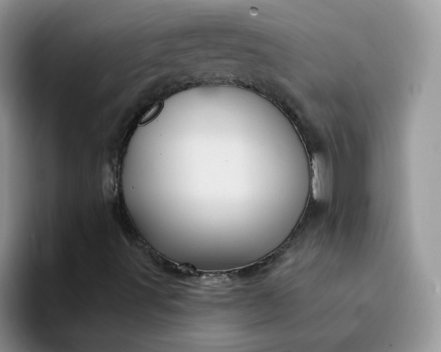 X0000094231491200711091304