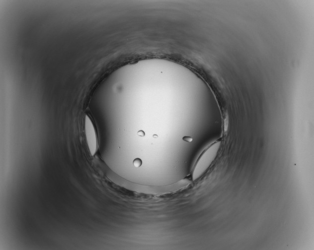 X0000094231492200711091304