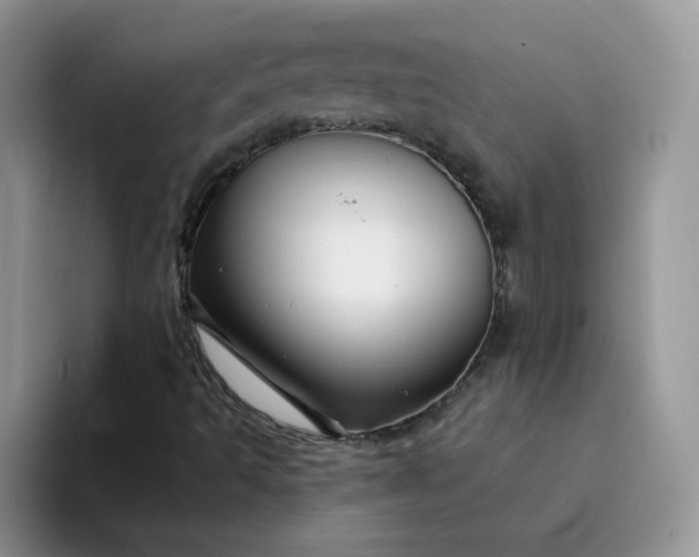 X0000094231493200711091304