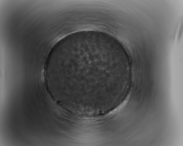 X0000094231497200711091304