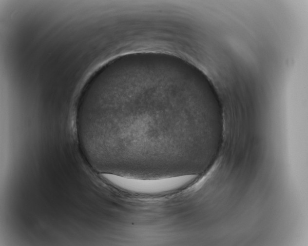 X0000094231498200711091304