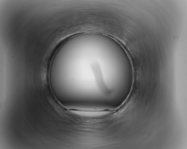 X0000094231499200711091304