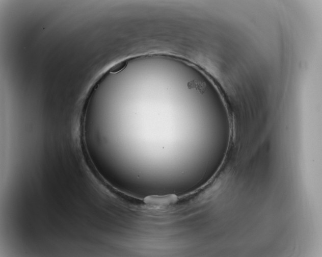 X0000094231500200711091304