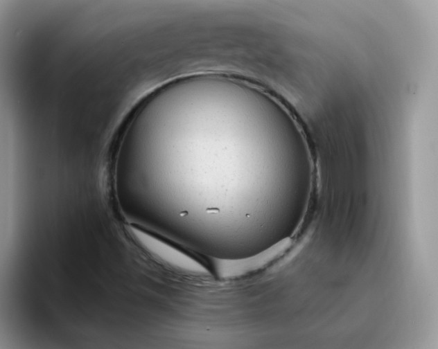 X0000094231501200711091304