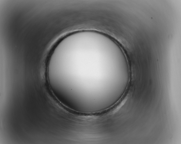 X0000094231502200711091305