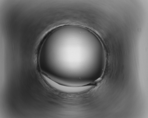 X0000094231503200711091305