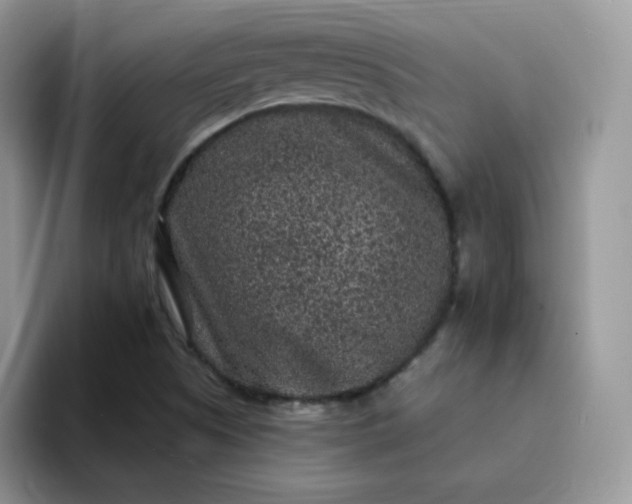 X0000094231505200711091305