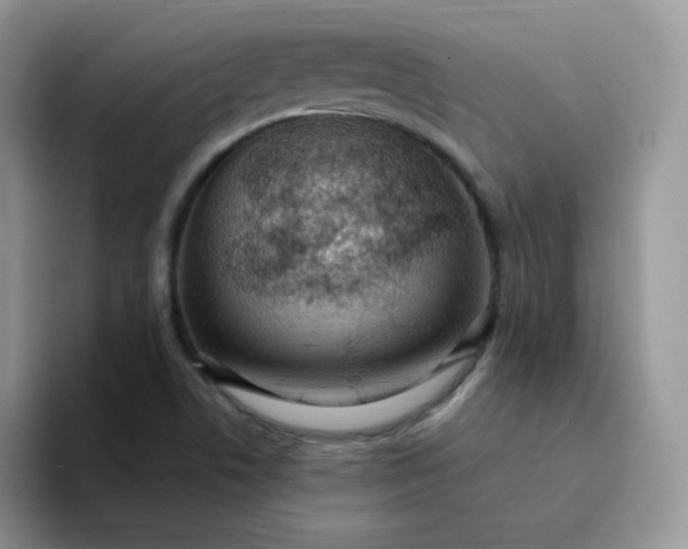 X0000094231506200711091305