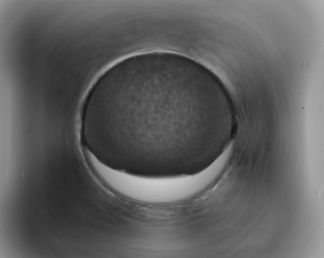 X0000094231508200711091305