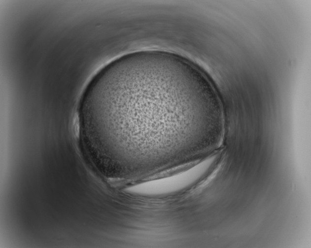 X0000094231509200711091305