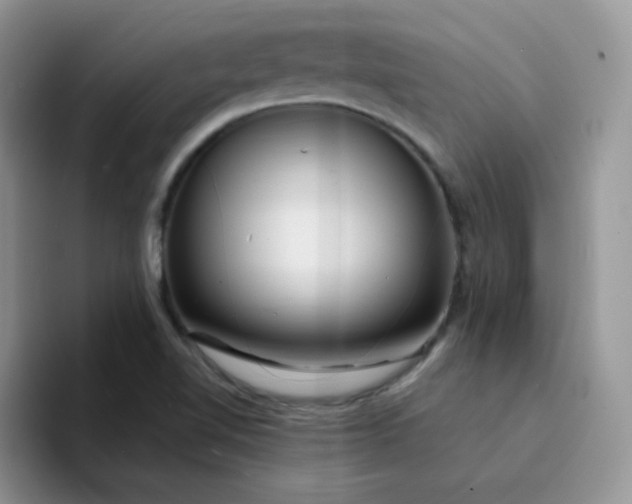 X0000094231510200711091305