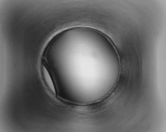 X0000094231511200711091305