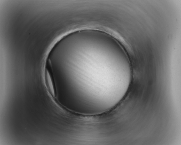 X0000094231512200711091305