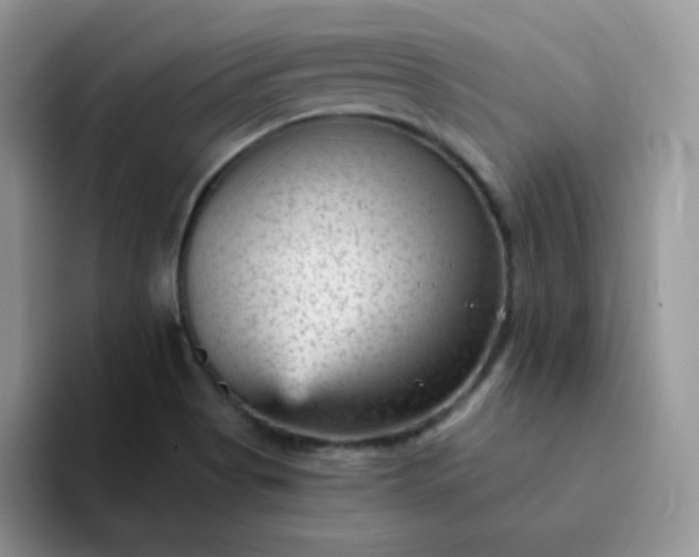 X0000094231513200711091305