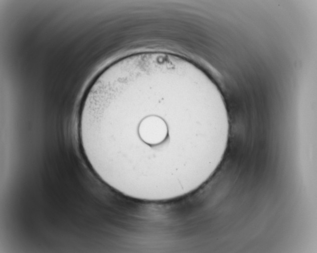 X0000094231514200711091305