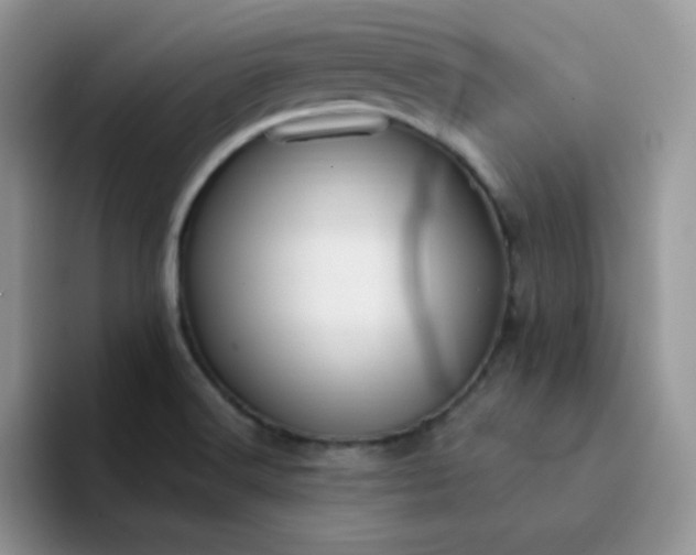 X0000094231516200711091305