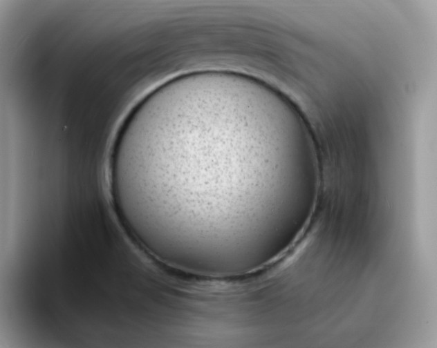 X0000094231517200711091305