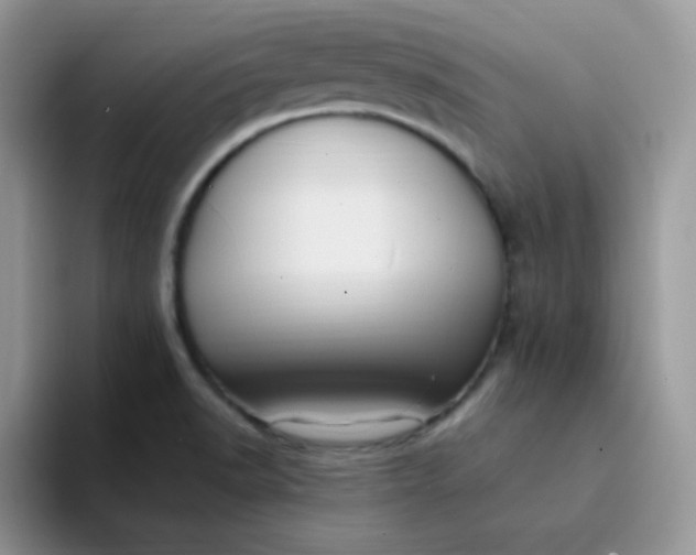 X0000094231518200711091305